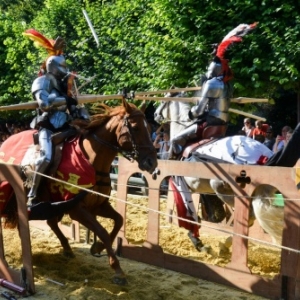 "Marche Renaissance", dans le "Parc Royal" : Joute a cheval