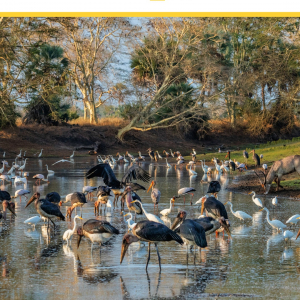 © « National Geographic »