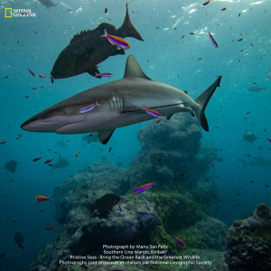 © « National Geographic »