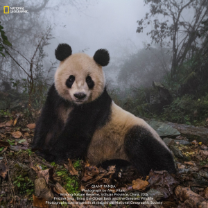 © Amy Vitale/« National Geographic »