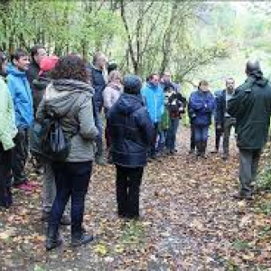 Une balade dans la Nature © « FINN »/2019