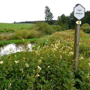 Canal de Bernistap - 8937