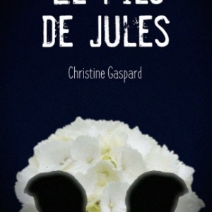 Le Fils de Jules , le livre de  Christine Gaspard