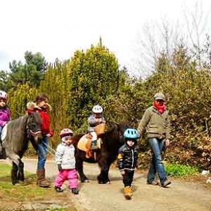 Le Parc naturel Haute-Sure