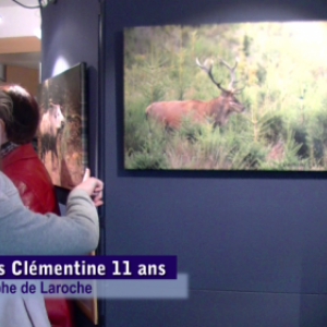  video, exposition Grandeur Nature 