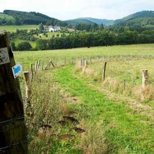 Dégustez de la viande de boeuf des réserves naturelles du Luxembourg.