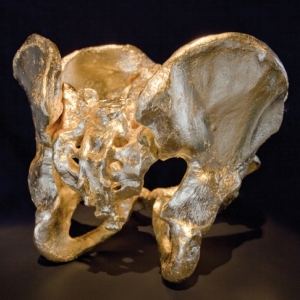 Anatomie, 500 ans
