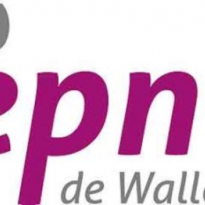 Espace Public Numerique de Wallonie