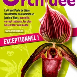 LIEGE du 28 mars au 20 mai, le monde secret des orchidees