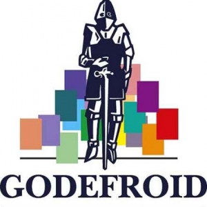 Godefroid Social 2011