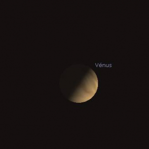 Vénus, aux jumelles, dévoile son quartier jusque fin juillet.