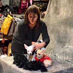 Malucchi, la bijouterie pour chien