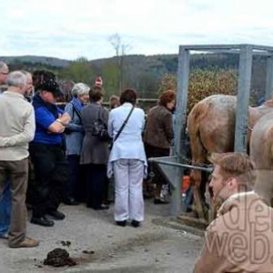 AGRI-MUSEE de Rochehaut