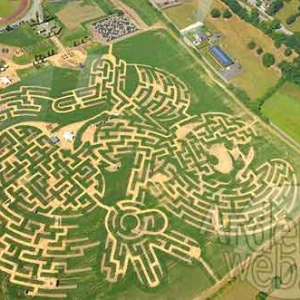 Labyrinthe Pays Schtroumpf-1125