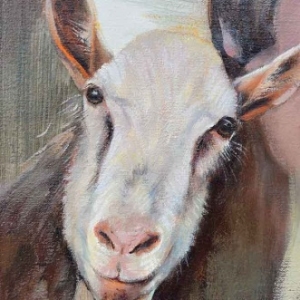 Stupid Goat. Peinture de Marie-Elise