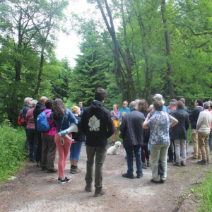 Di. 7 juin de 9h à 12h PATRIMOINE/HISTOIRE La forêt de Logbiermé, regards croisés sur un paysage