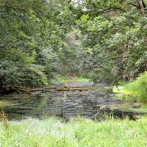 Canal de Bernistap - 8942