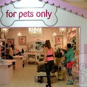 For pets only-6610