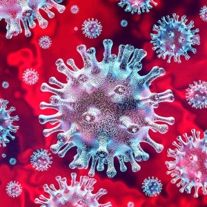 le coronavirus, le confinement et les futurs vaccins.
