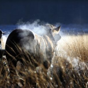 01-concours photo, Metiers Nature, Fondation Saint-Hubert 