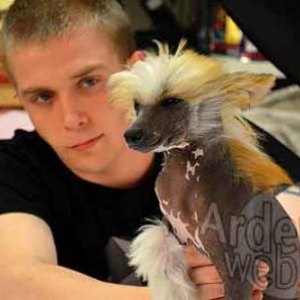 concours du plus beau chien du monde - photo 4744