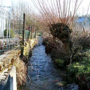 Epuration des eaux usees en zone rurale.
