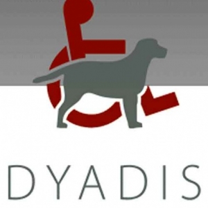 DYADIS