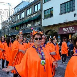 Carnaval de La Roche 2017