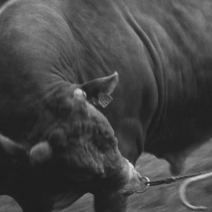 José. Le dernier jour, 2024-2025. Film super 16 mm, sonore, 10 min © Chantal Maes