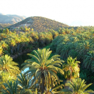 Village de Mulege et son oasis Photo Mexcapade