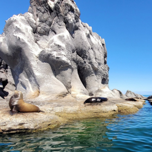 Le Parc national de Bahia de Loreto et les îles Coronados. Photo Mexcapade