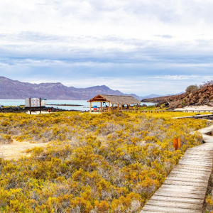 Un écosystème marin remarquable Photo Istock