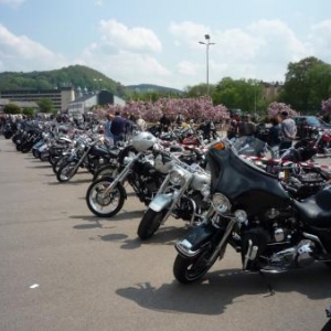 Les parkings - expositions se remplissent au fil des heures