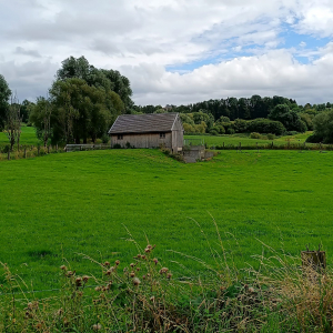 Paysage du pays de Herve