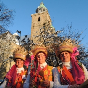 Le Carnaval ( 1 au 4 mars 2014 )