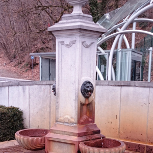 La fontaine "Aux Armes d'Autriche"  ( photo : F. Detry )