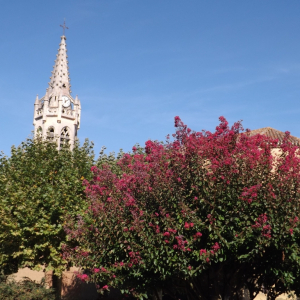A Lupiac ( photo : F. Detry ) A Lupiac ( photo : F. Detry )