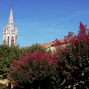 A Lupiac ( photo : F. Detry ) A Lupiac ( photo : F. Detry )