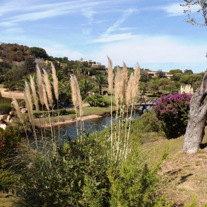 Porto Cervo ( Sardaigne ) ( Photo : F. Detry )