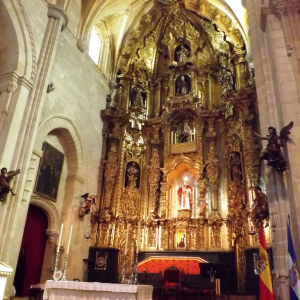 La cathédrale de Jerez de la Frontera  ( photo : F. Detry )
