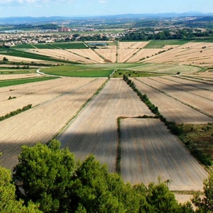 14  L'étang asséché de Montady