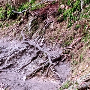 Un parcours piégeux ( Photo Detry )