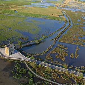 15 Camargue gardoise (Gard)