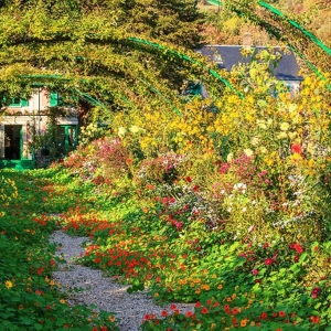 1) Giverny : les nymphéas dans les jardins de Monet et le musée des Impressionismes