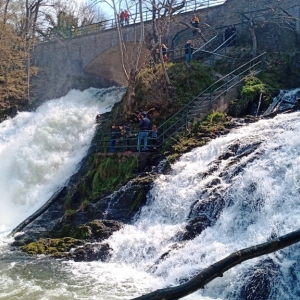 Le débit actuel de la cascade ( photo F. Detry )