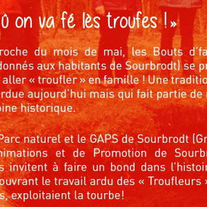 La tourbe fagnarde ( photo : F.Detry )
