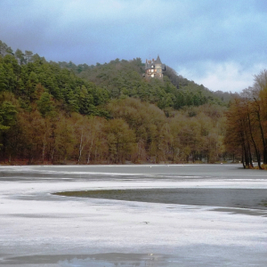 2010-01-17  Lac de Warfaaz  ( Photo : F. Detry )