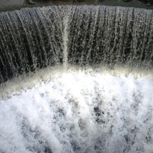 2010-01-17  Lac de Warfaaz  ( Photo : F. Detry )