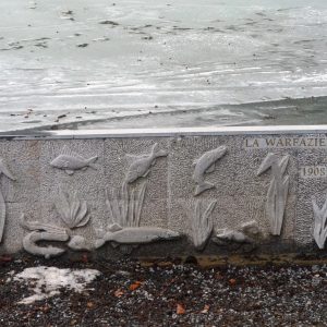 2010-01-17  Lac de Warfaaz  ( Photo : F. Detry )