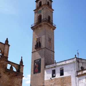 Jerez de la Frontera  ( photo : F. Detry )